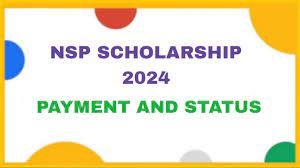 NSP Scholarship Payment Update 2024